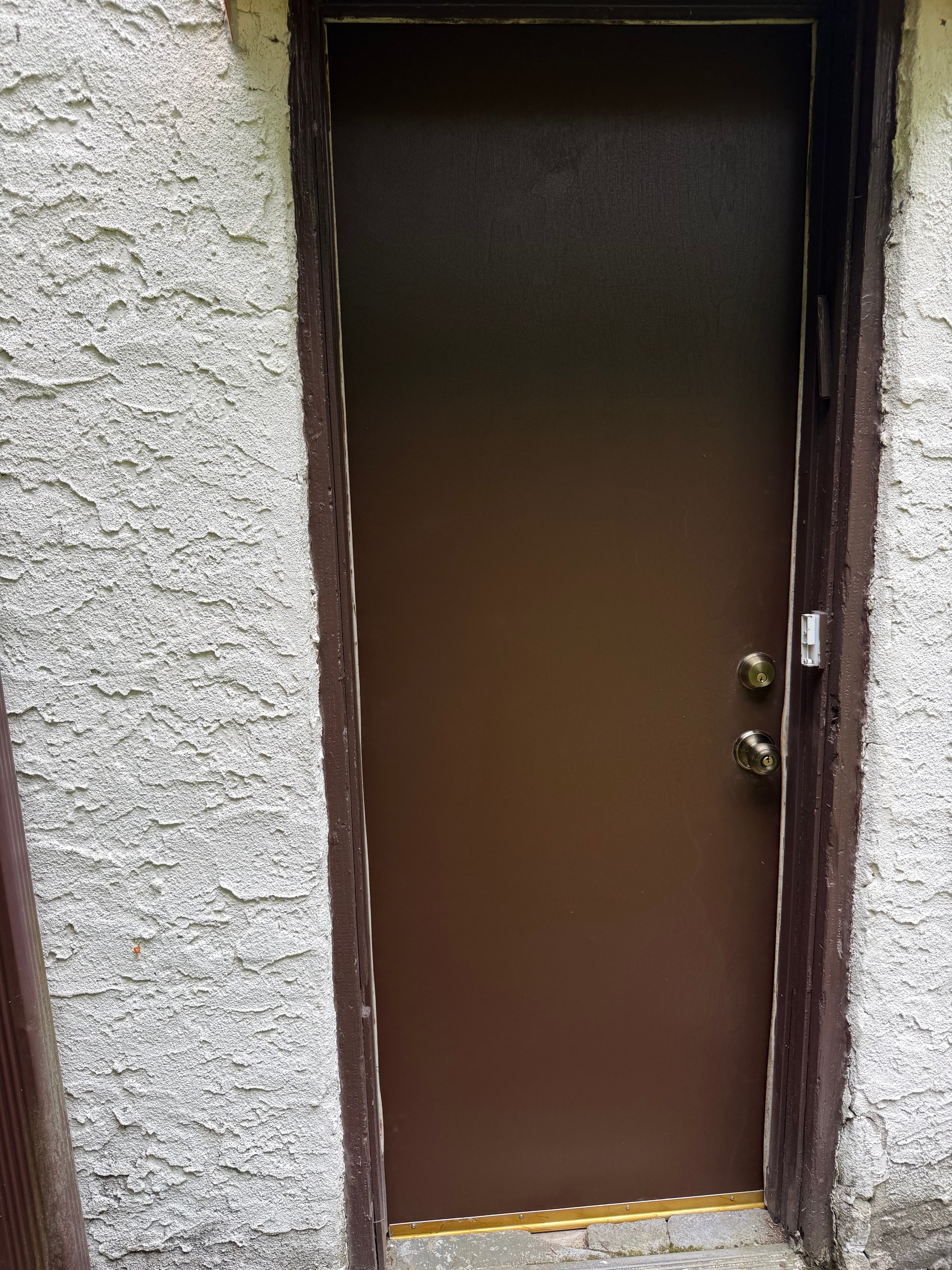 Exterior Steel Door Installation & Paint