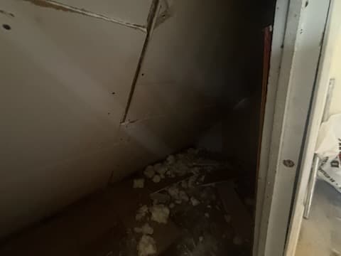 During: painting the attic walls.