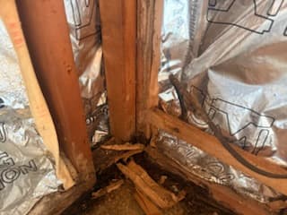 During: the rotted bottom plate and termite-damaged studs found mid-job.