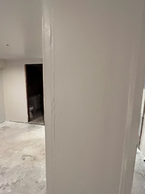 After: fresh paint on the finished basement walls.