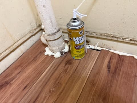 After: new plank flooring in the bathroom entryway.