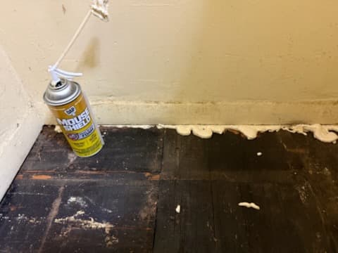 After: wood transition threshold between the entryway and bathroom floor.
